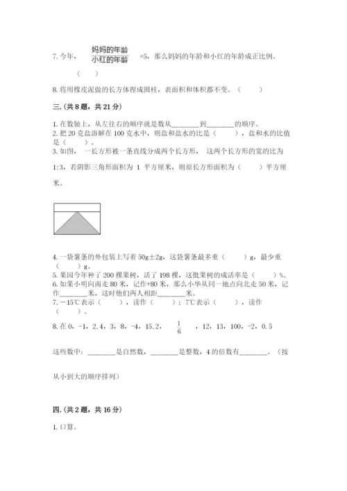 苏教版数学六年级下册试题期末模拟检测卷精品（考点梳理）.docx