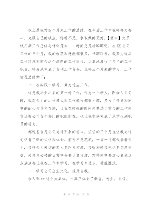 文员试用期工作总结与计划范本.docx