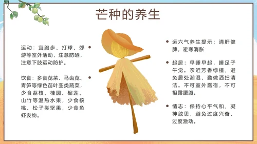 黄色卡通丰收二十四节气之芒种带内容PPT模板