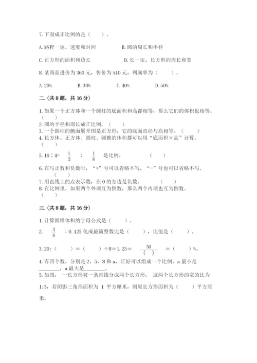 苏教版六年级数学小升初试卷及精品答案.docx