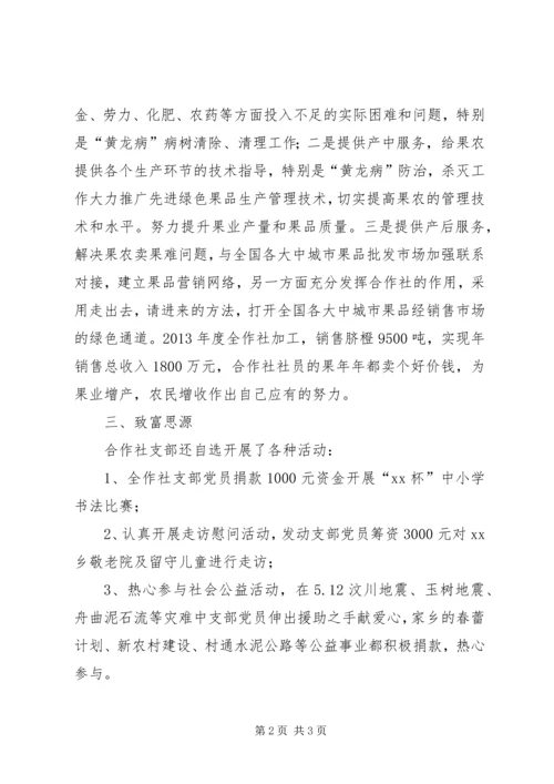 果业合作社党支部主要事迹材料.docx