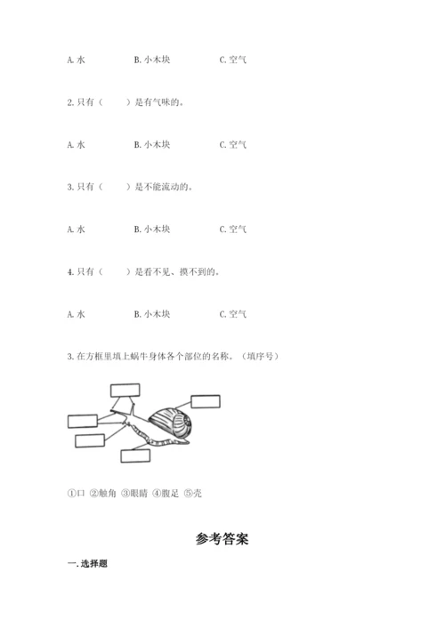 教科版一年级下册科学期末测试卷及答案【夺冠】.docx