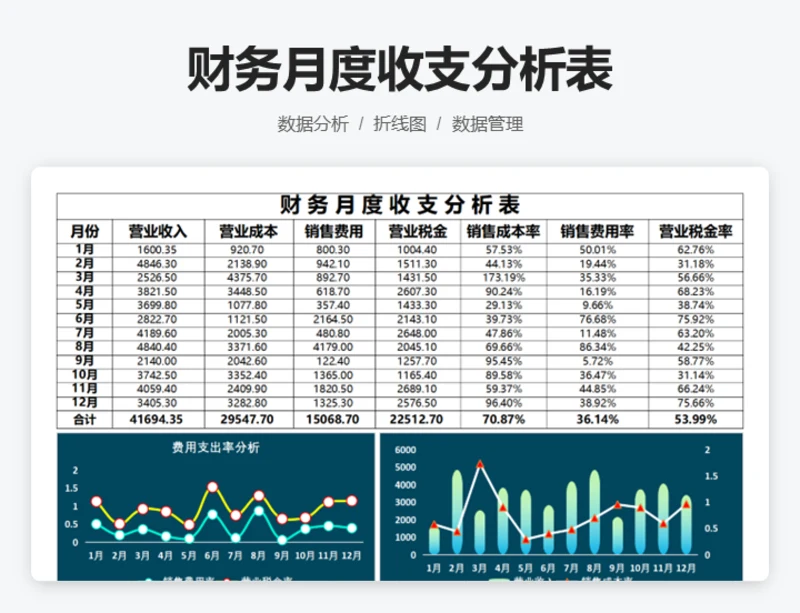财务月度收支分析表