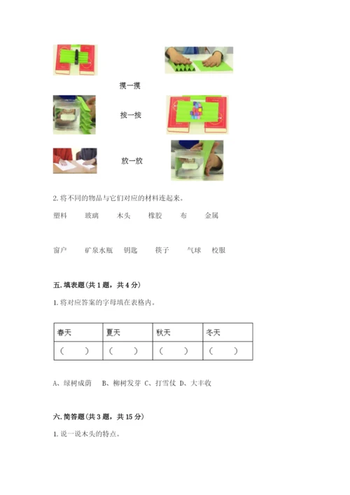 教科版二年级上册科学期末测试卷（能力提升）.docx