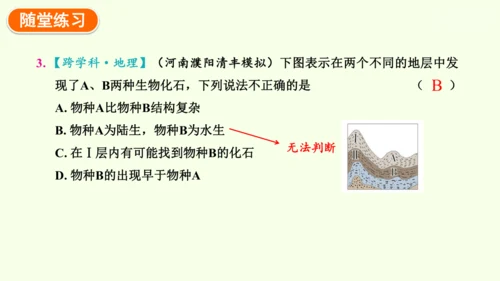 7.3.2生物进化的历程-八年级生物人教版下学期同步精品课件(共34张PPT)