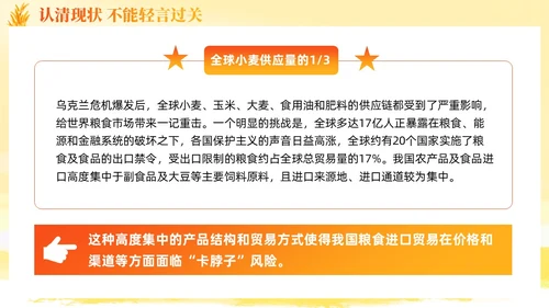大学生形势与政策保障粮食安全的中国策ppt课件党建