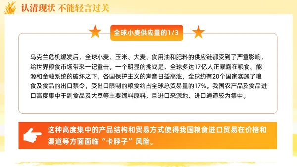 大学生形势与政策保障粮食安全的中国策ppt课件党建