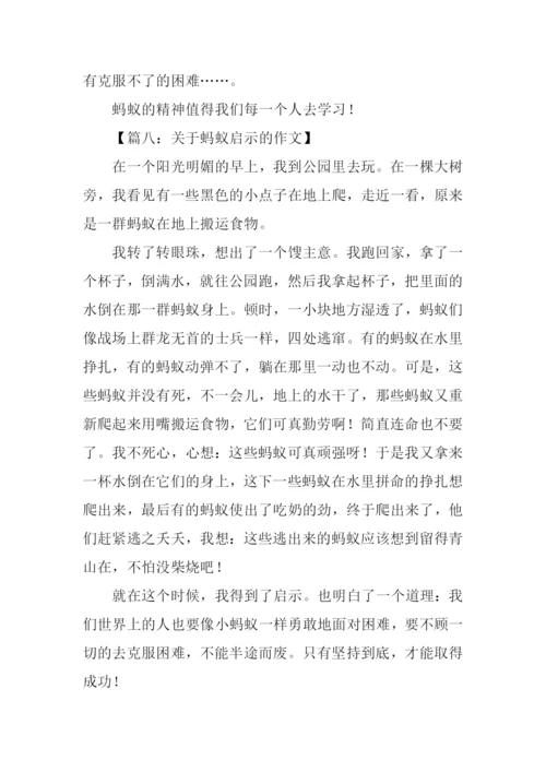 关于蚂蚁启示的作文.docx