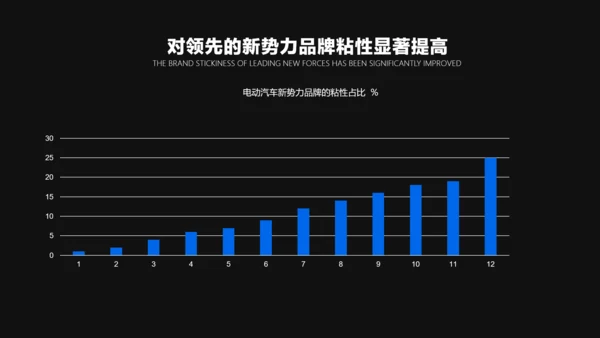 蓝黑色简约风汽车行业咨询报告