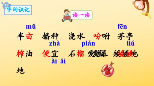 2 落花生    课件