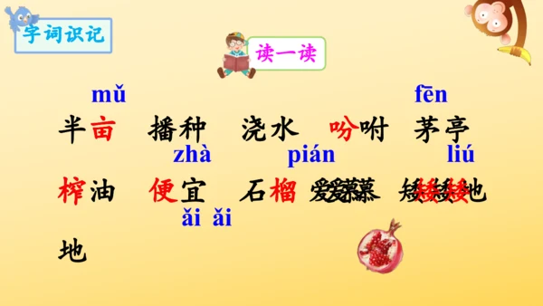 2 落花生    课件
