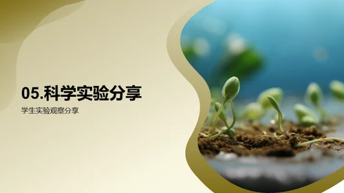 科学探秘植物生长