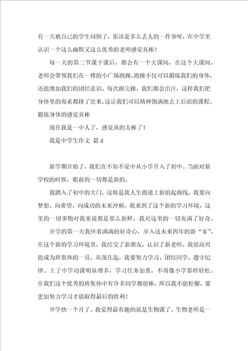 有关我是中学生作文4篇