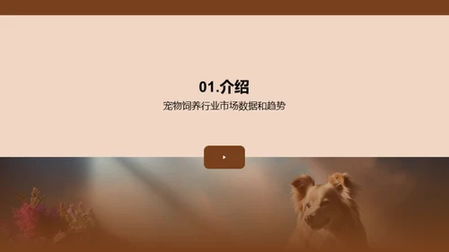 宠物行业蓝图解析