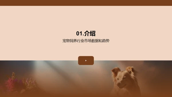 宠物行业蓝图解析