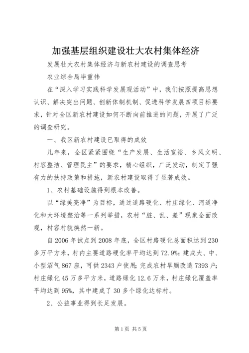 加强基层组织建设壮大农村集体经济 (5).docx