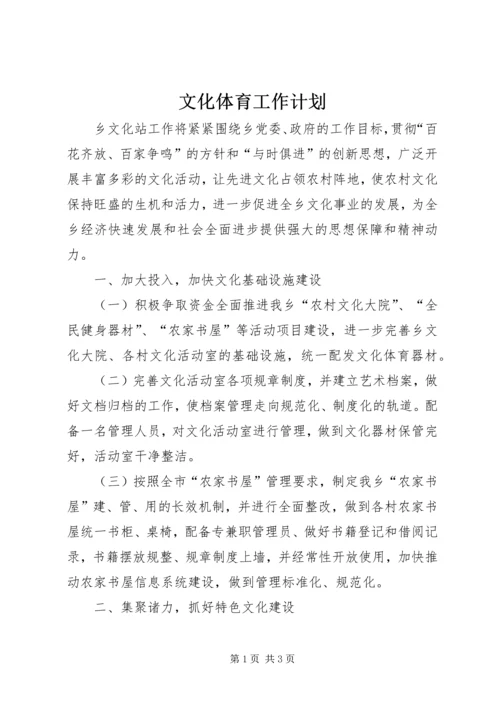 文化体育工作计划.docx