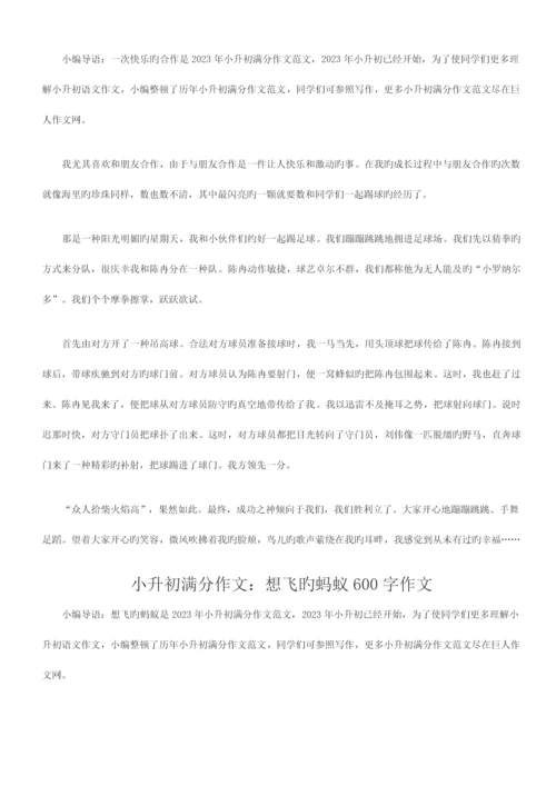 2023年小升初满分作文优质资料.docx