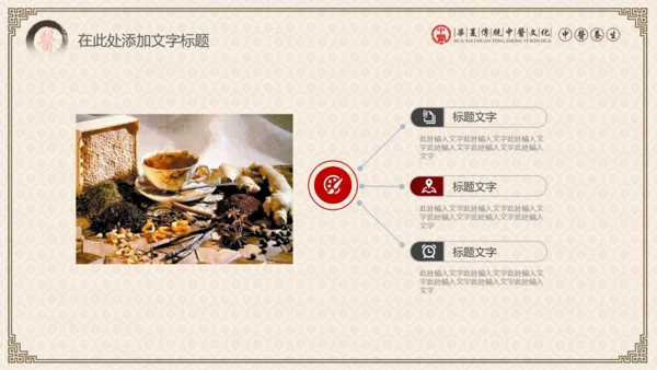 传统中医学中医院中医文化中草药PPT模板