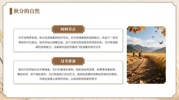 褐色中国风风格秋分节气介绍PPT模板