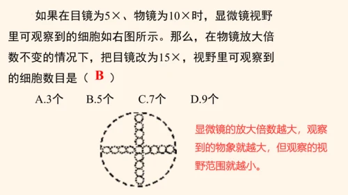 2.1.1练习使用显微镜课件2023--2024学年人教版生物七年级上册(共32张PPT)