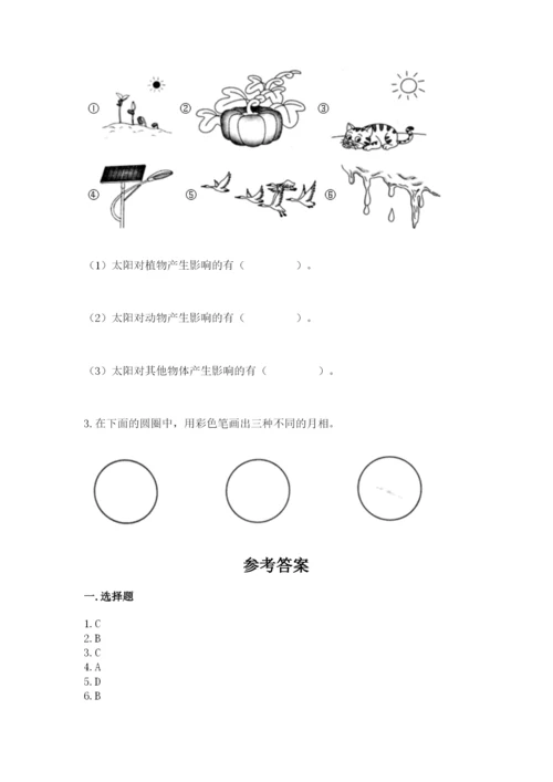 教科版小学二年级上册科学期末测试卷（精华版）.docx
