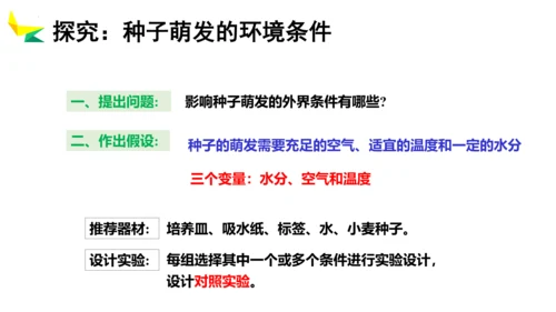 3.2.1 种子的萌发 2023-2024学年七年级生物上册精品教学课件（人教版）(共19张PPT)