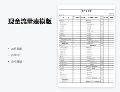 现金流量表模版