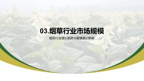 烟草业：新纪元新挑战