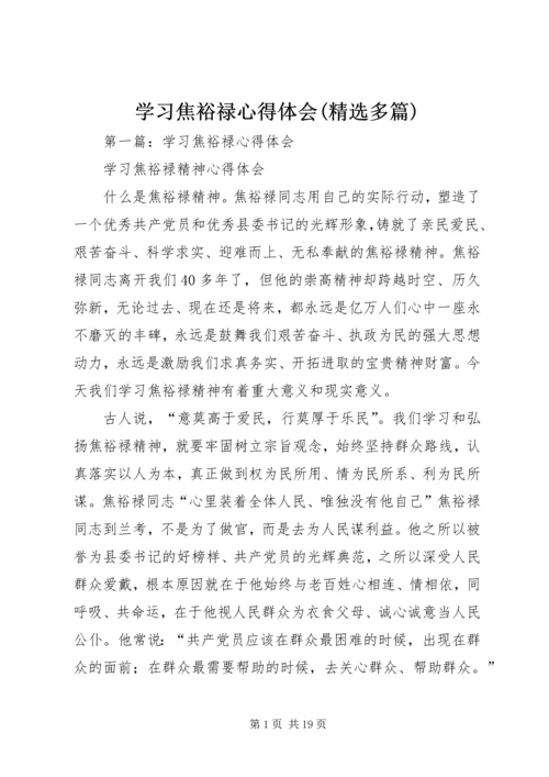 学习焦裕禄心得体会(精选多篇).docx