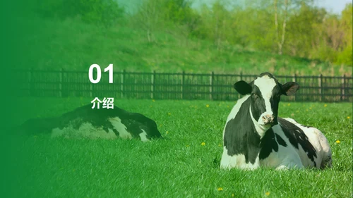 绿色现代养殖流程管理与疾病预防PPT模板