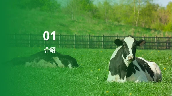 绿色现代养殖流程管理与疾病预防PPT模板