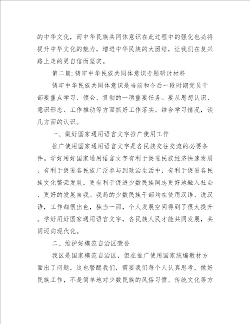 铸牢中华民族共同体意识专题研讨材料(通用5篇)