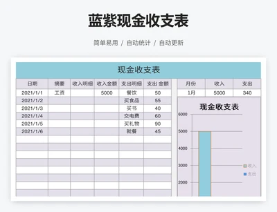 蓝紫现金收支表