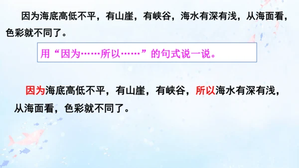 18.富饶的西沙群岛   课件