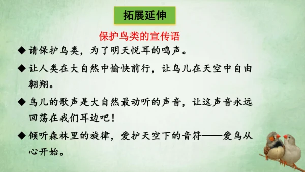 4.珍珠鸟 课件