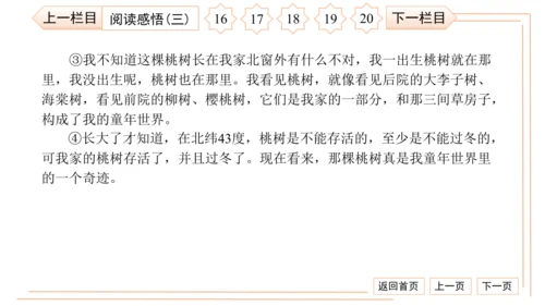 统编版八上语文第二次月考综合检测卷 习题课件（41张PPT）