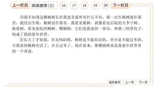 统编版八上语文第二次月考综合检测卷 习题课件（41张PPT）