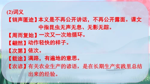 5《大自然的语言》课件