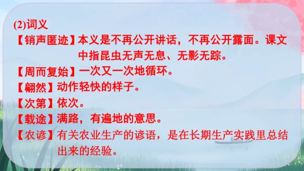 5《大自然的语言》课件