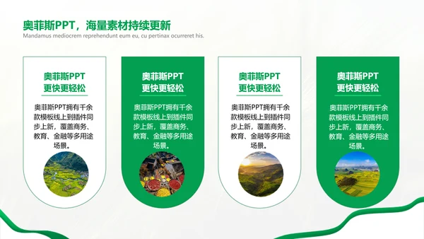 绿色简约风农学专业科研总结