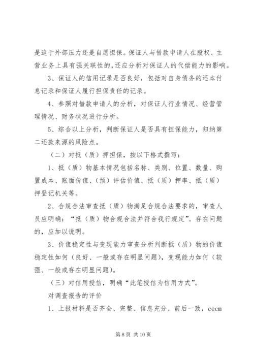 咨询审查报告内容 (3).docx