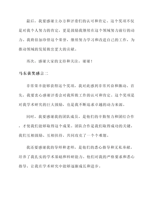 马东获奖感言