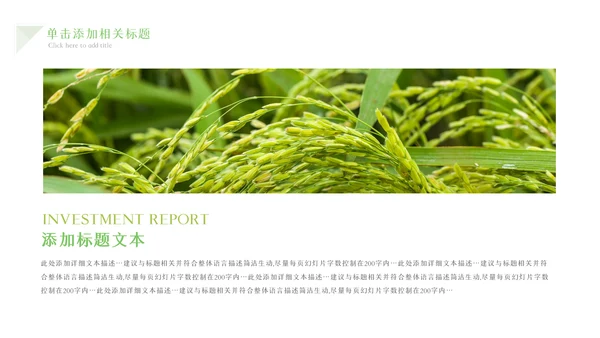 绿色农业生产春耕三农乡村振兴稻田水稻PPT