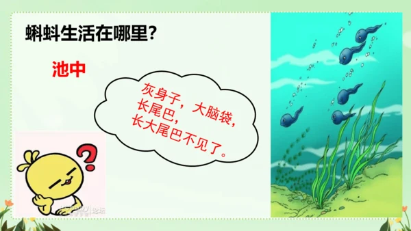 识字（二）5动物儿歌（课件）