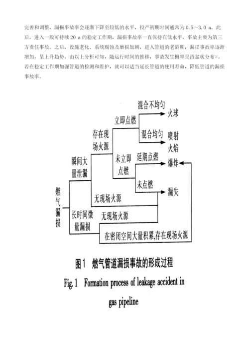 燃气系统漏损事故原因的定性定量分析.docx
