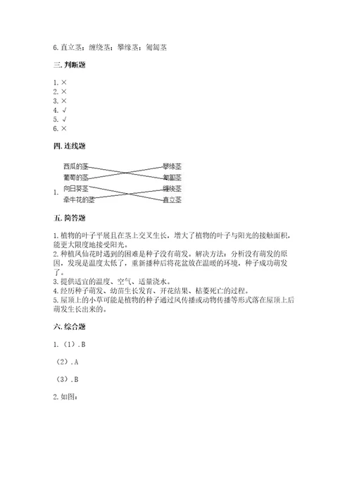 科学四年级下册第一单元植物的生长变化测试卷及参考答案能力提升