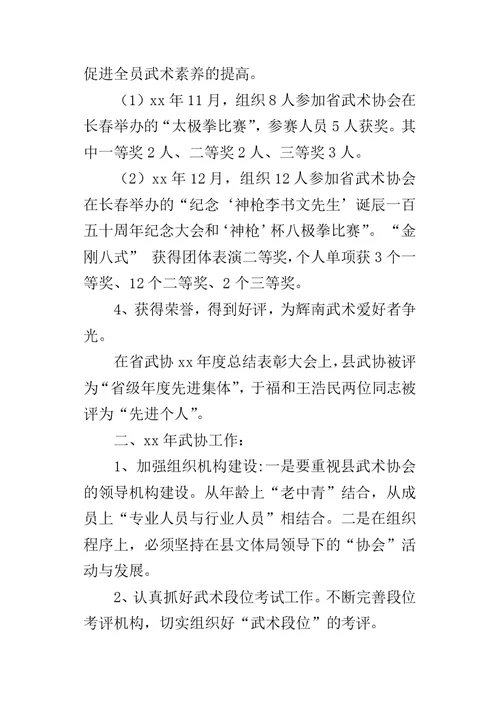 武术协会某年工作总结
