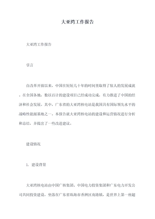 大亚湾工作报告