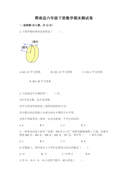辉南县六年级下册数学期末测试卷（a卷）.docx